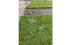 Sewer and Main Line Service in Tampa Bay, FL, photo 2