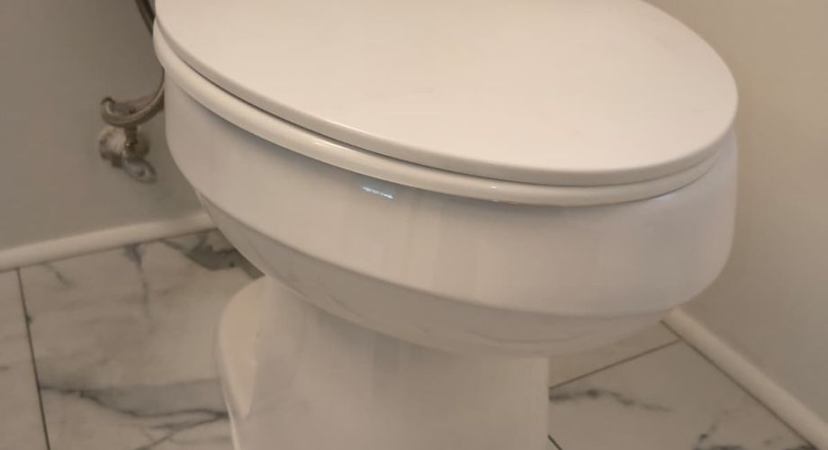 Toilet Repair and Installation in Palm Harbor, FL, photo 1