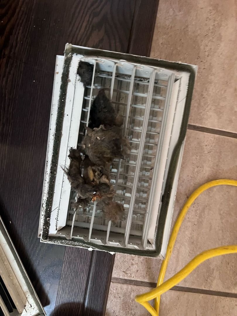 home therapist cooling heating and plumbing cleaning a dirty air vent with debris and dust inside