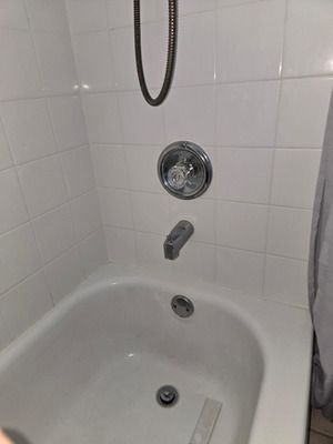 Shower Cartridge And Handle Replacement In Fish Hawk FL