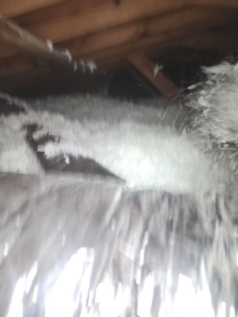 insulation installation in an attic using loose-fill material for energy efficiency and temperature regulation