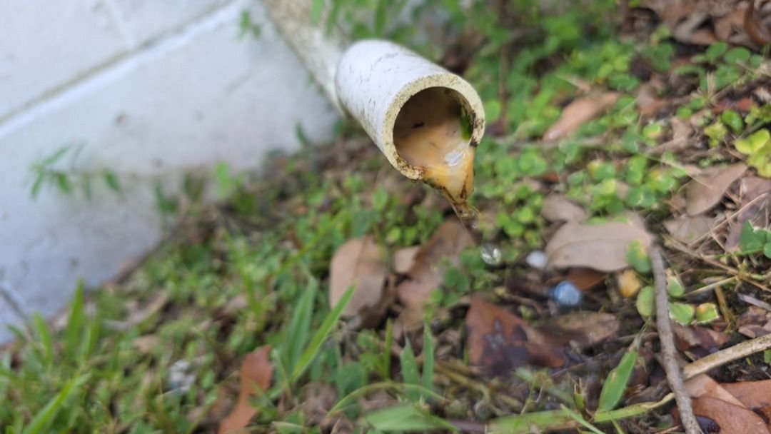 a white pipe draining brown water into grassy area suggesting possible plumbing issues needing attention and repair