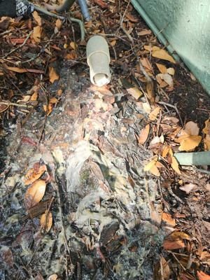 Drain Cleaning Service Performed For Maintenance In Tampa FL