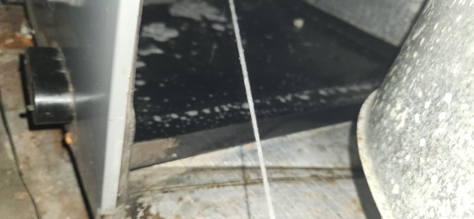 Detail of blower assembly needing deep cleaning in Tampa, FL 33634 HVAC system