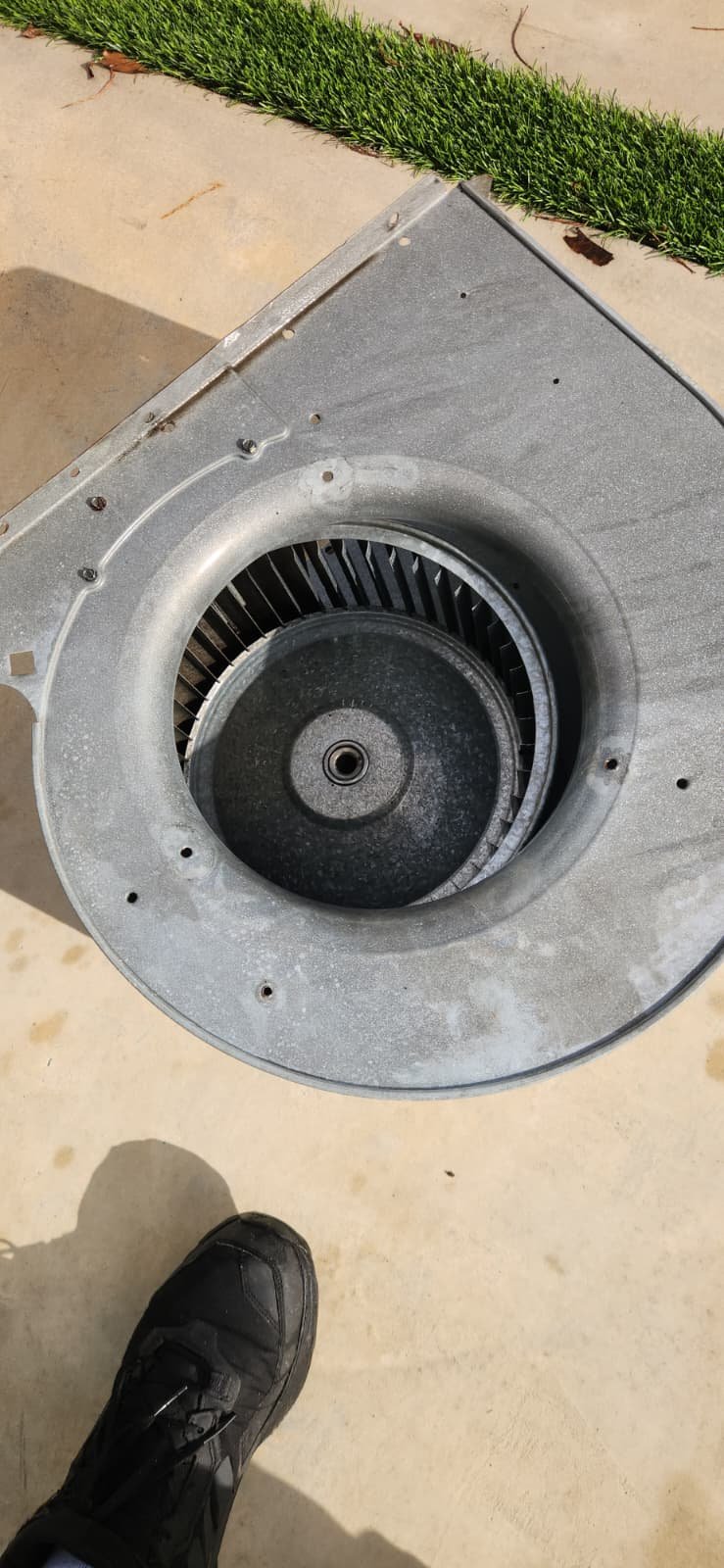 Blower wheel cleaning as part of AC maintenance in Tampa, FL 33625