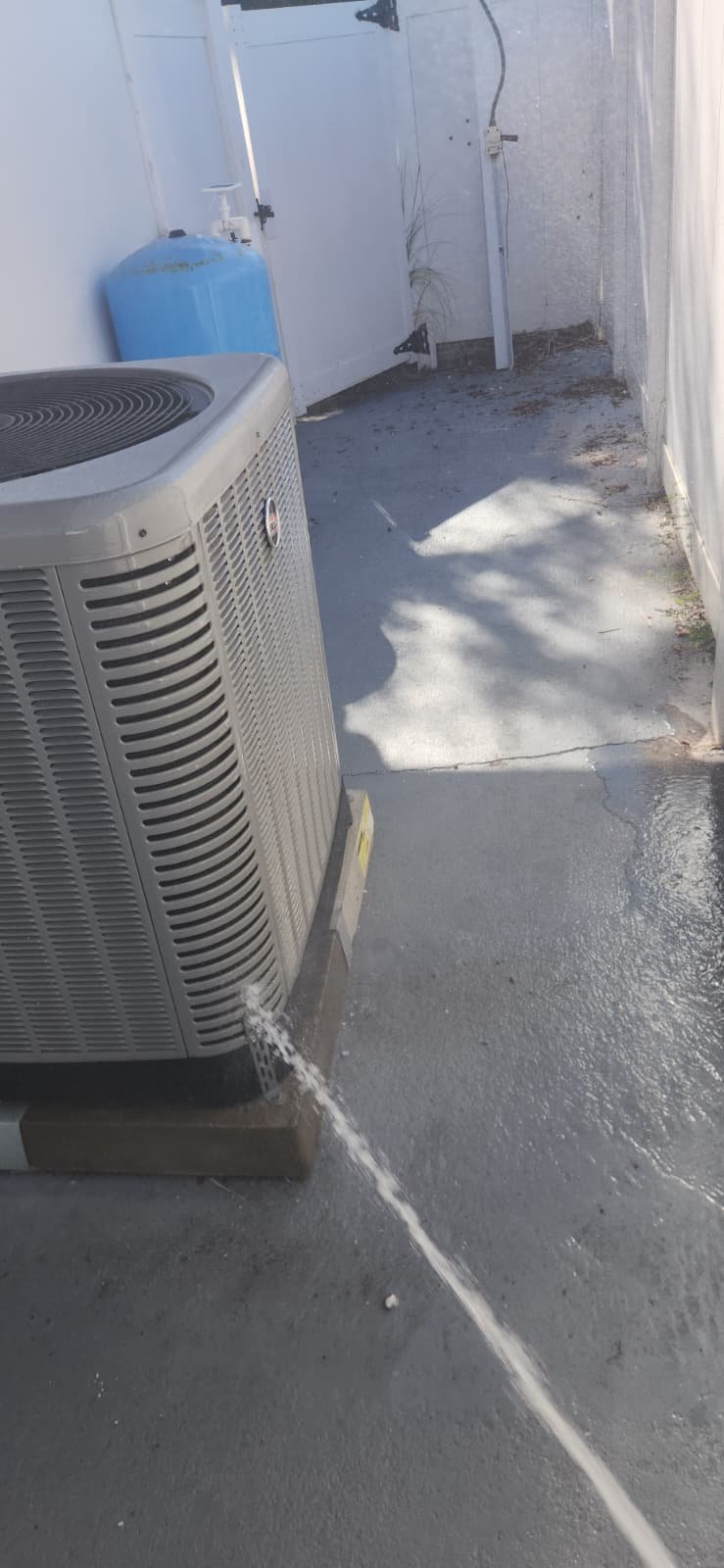 Dirty AC components during tune-up in Seminole, FL 33772 before cleaning