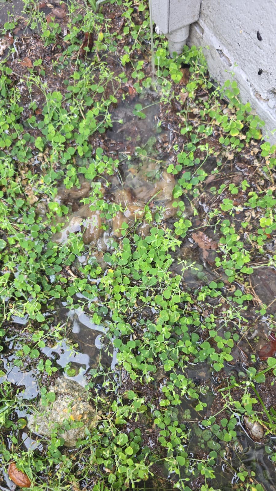 Home Therapist service photo in Port Richey, FL 34668