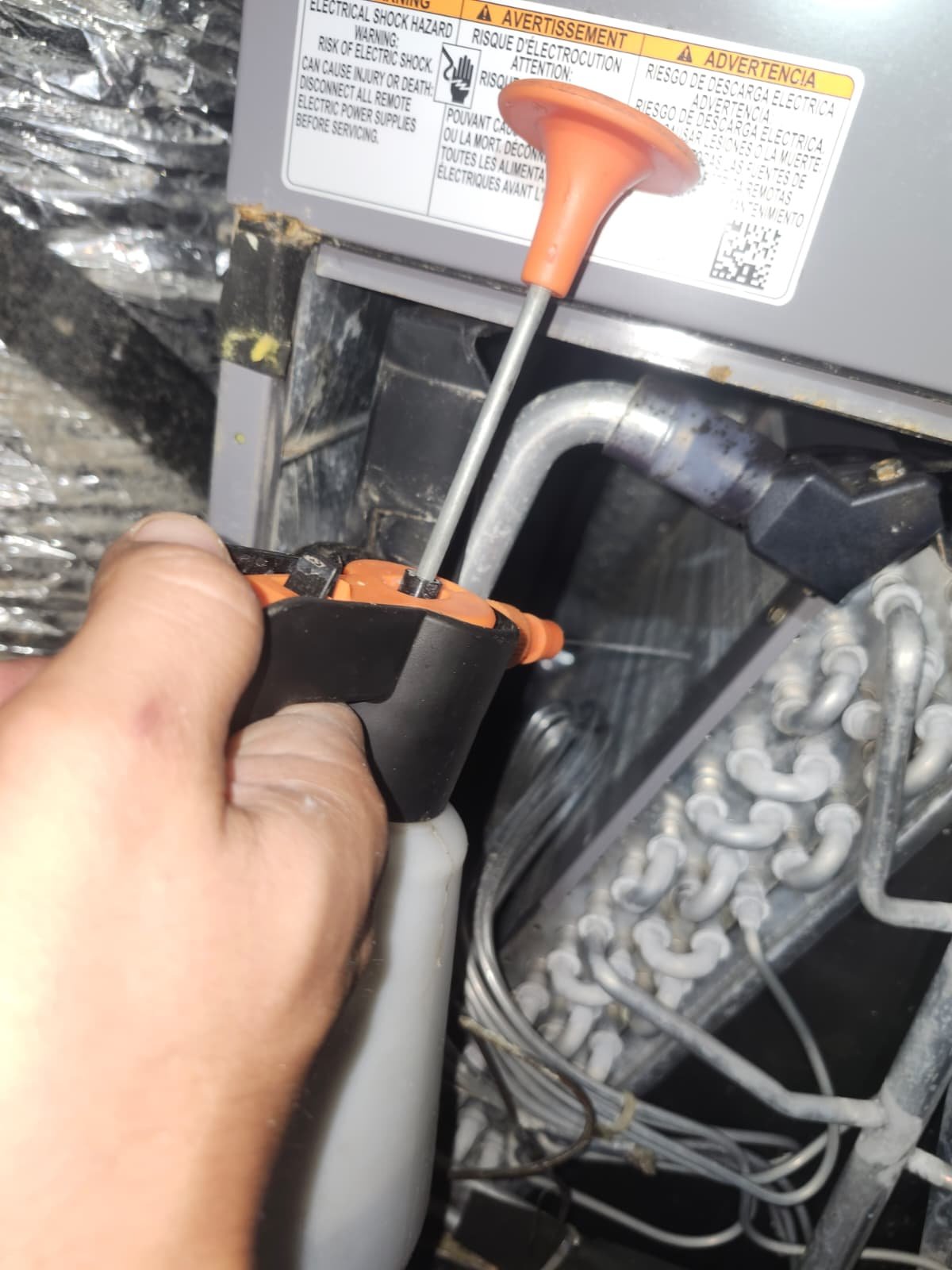 Organic growth noted on blower wiring during AC maintenance in Tampa, FL 33615