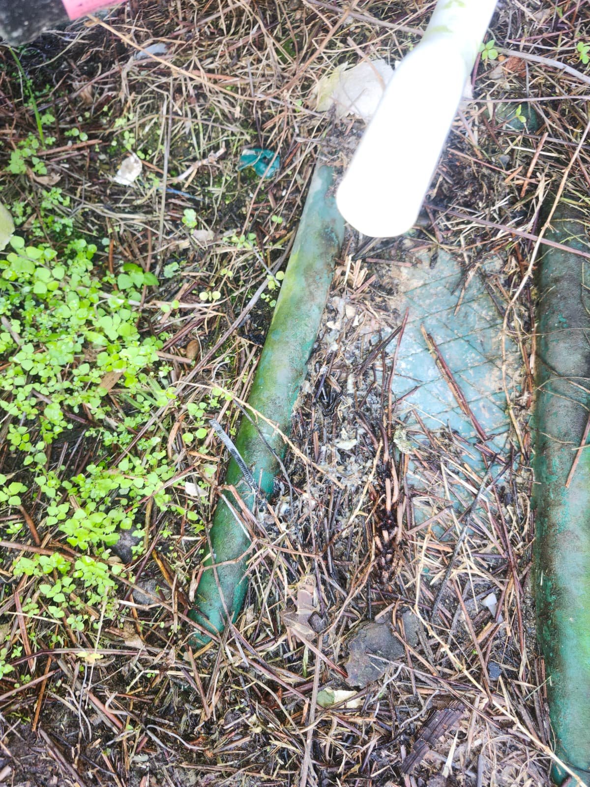 Clean HVAC components after premium maintenance service in Tampa, FL 33615