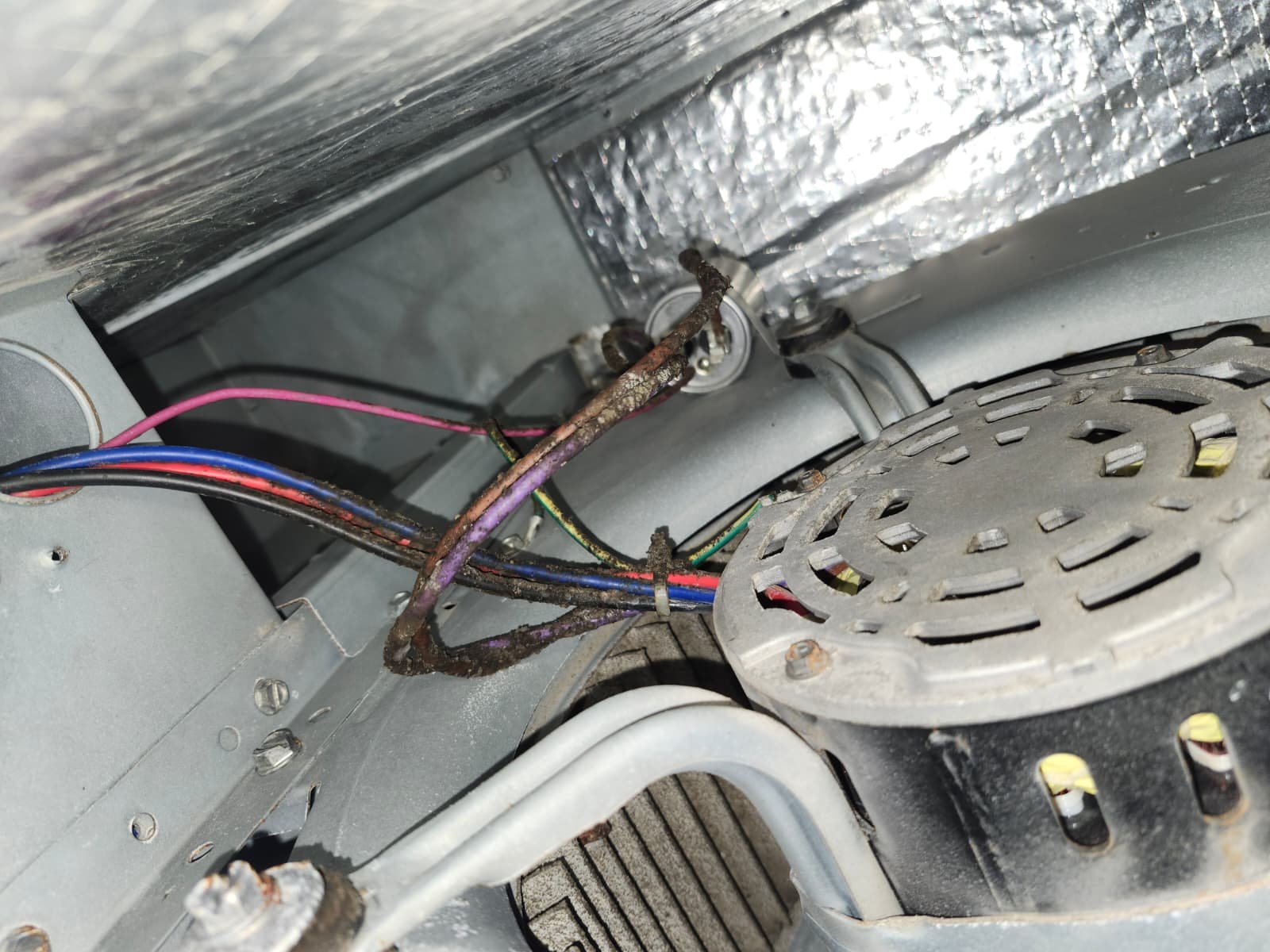 AC blower deep cleaning recommendation in Palm Harbor, FL 34684