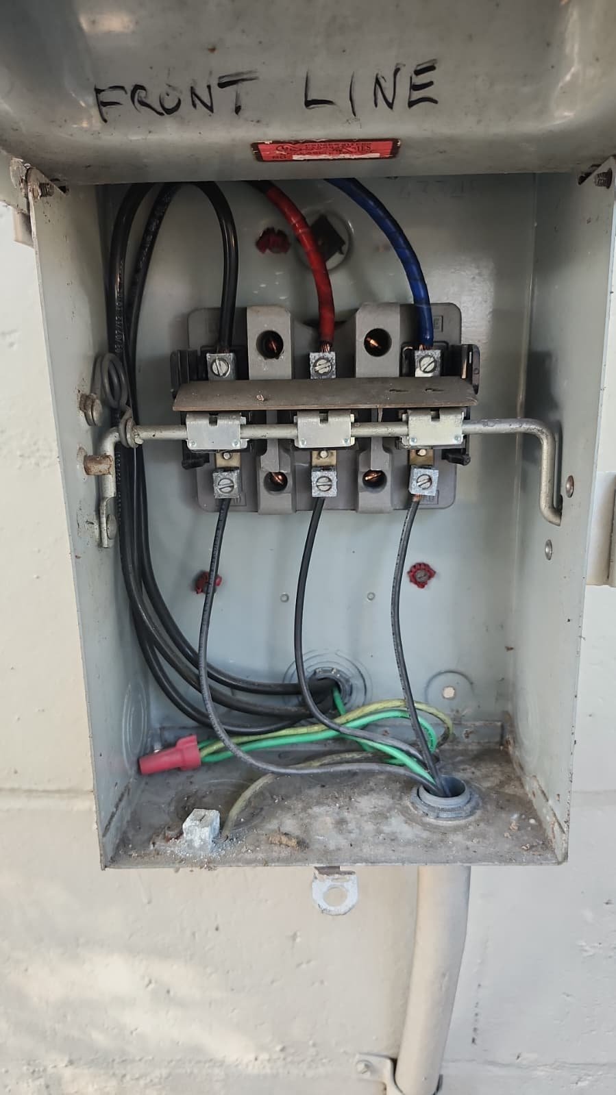 AC blower inspection for organic growth in Palm Harbor, FL 34684