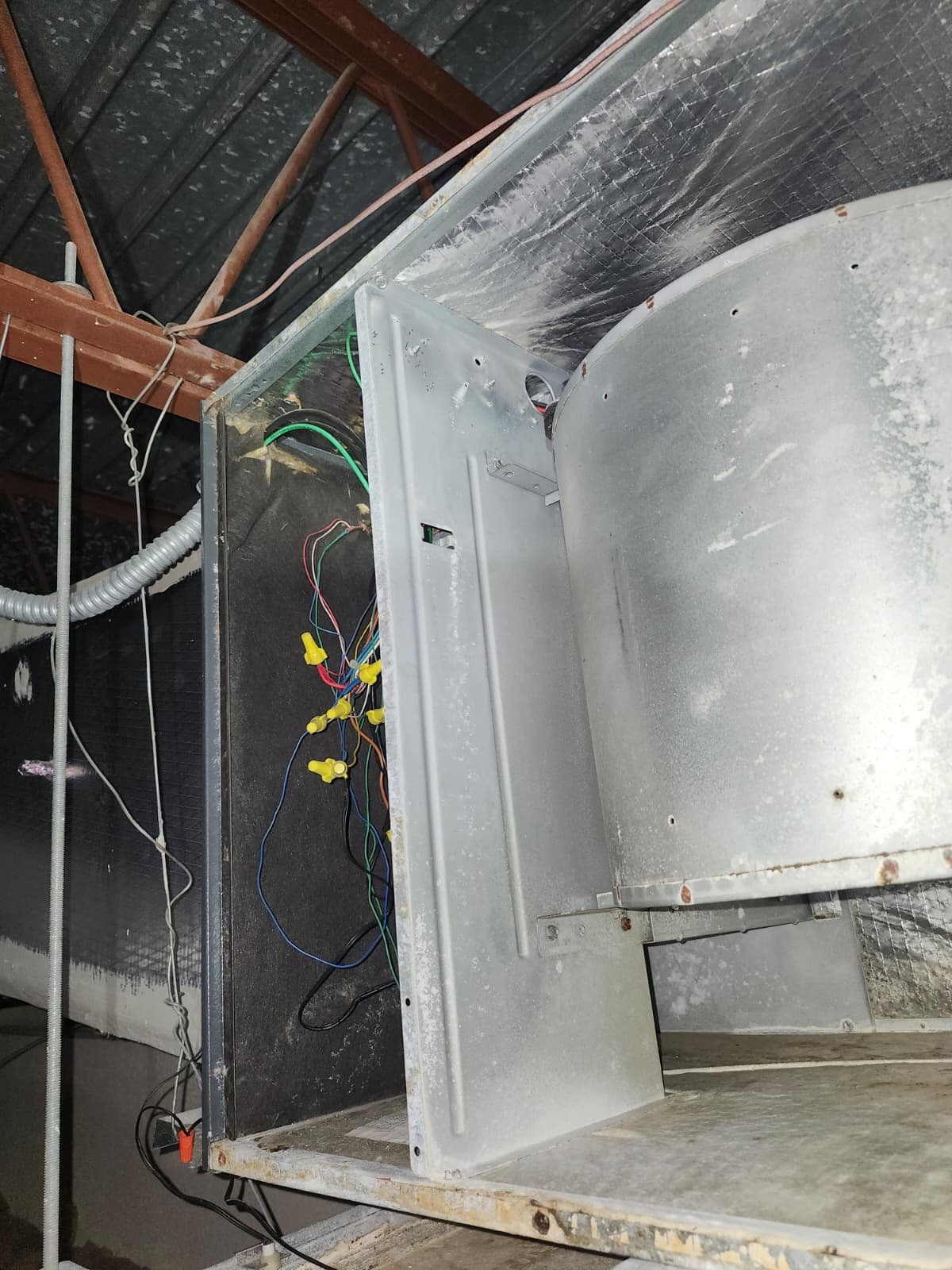 Air handler rust found during AC maintenance in Palm Harbor, FL 34684