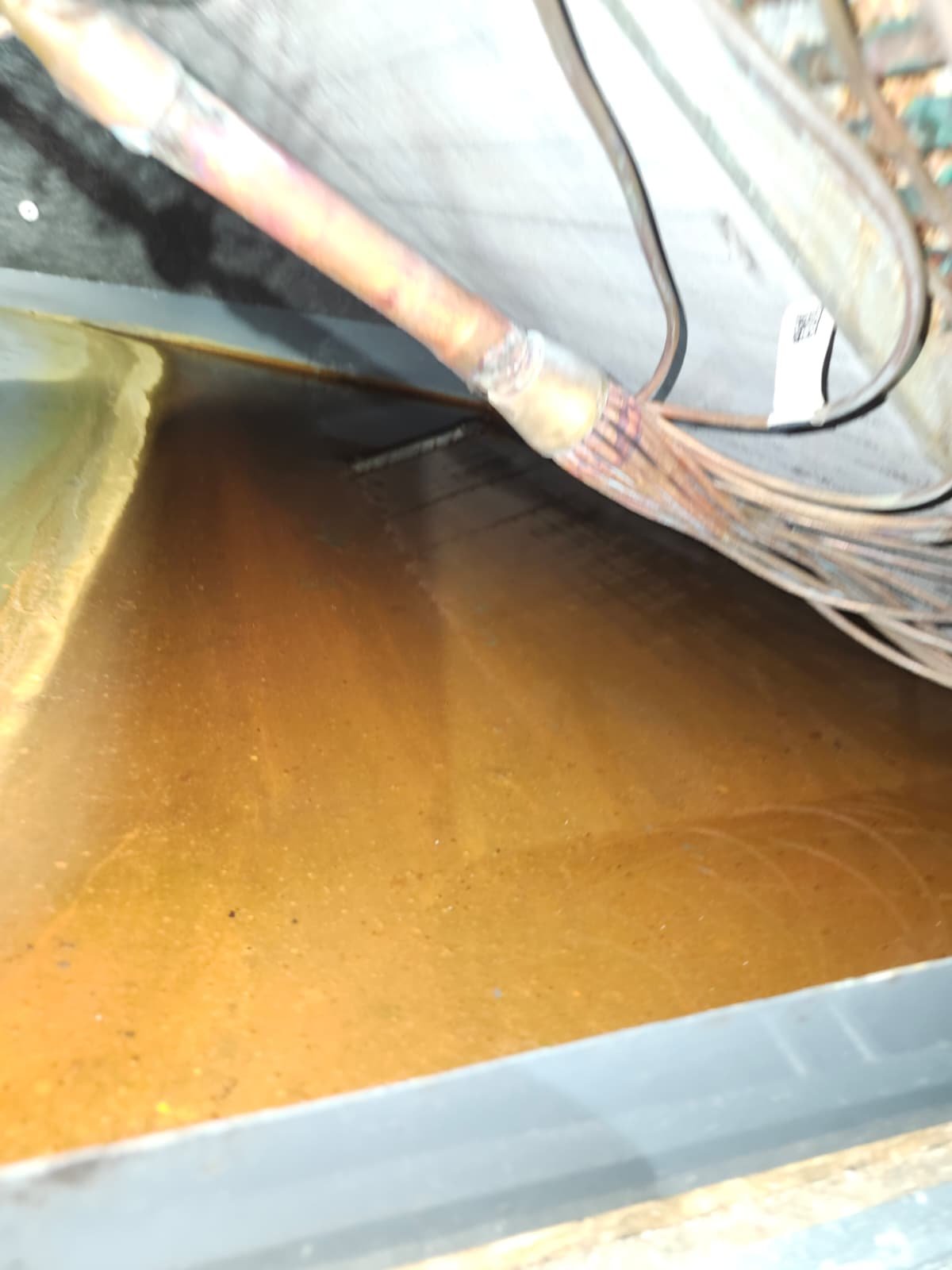 Indoor air handler unit from HVAC tune up Palm Harbor, FL 34684