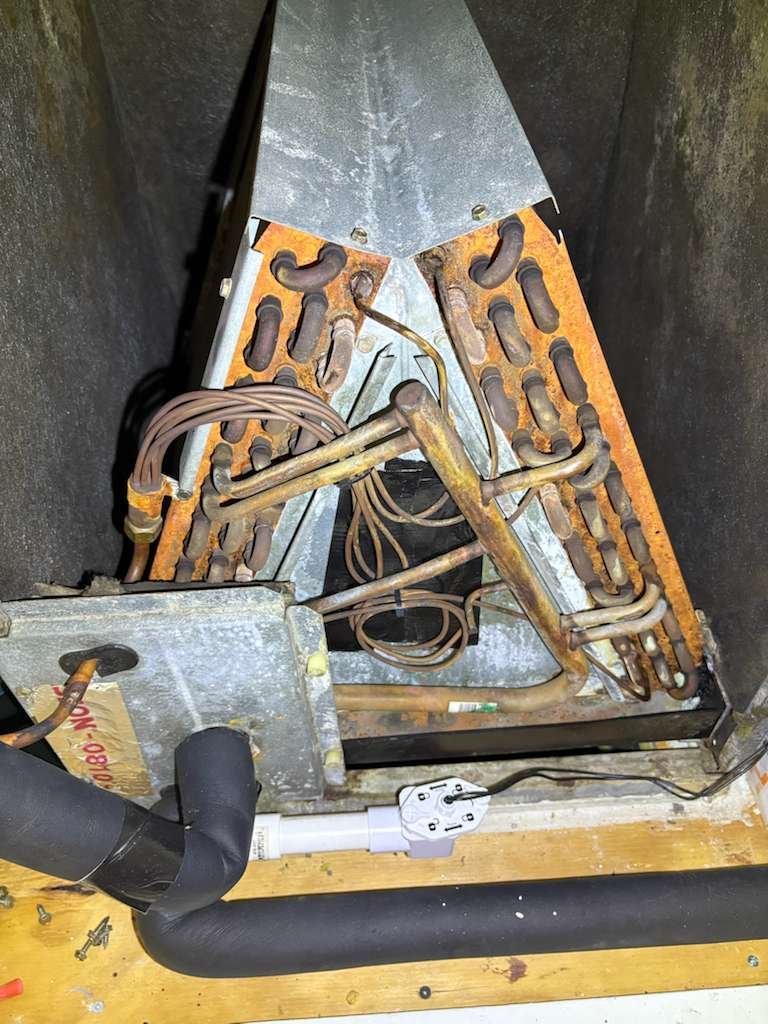 Home Therapist service photo in Riverview, FL 33578