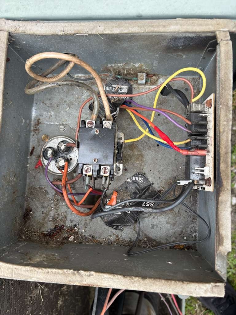 Home Therapist service photo in Riverview, FL 33578