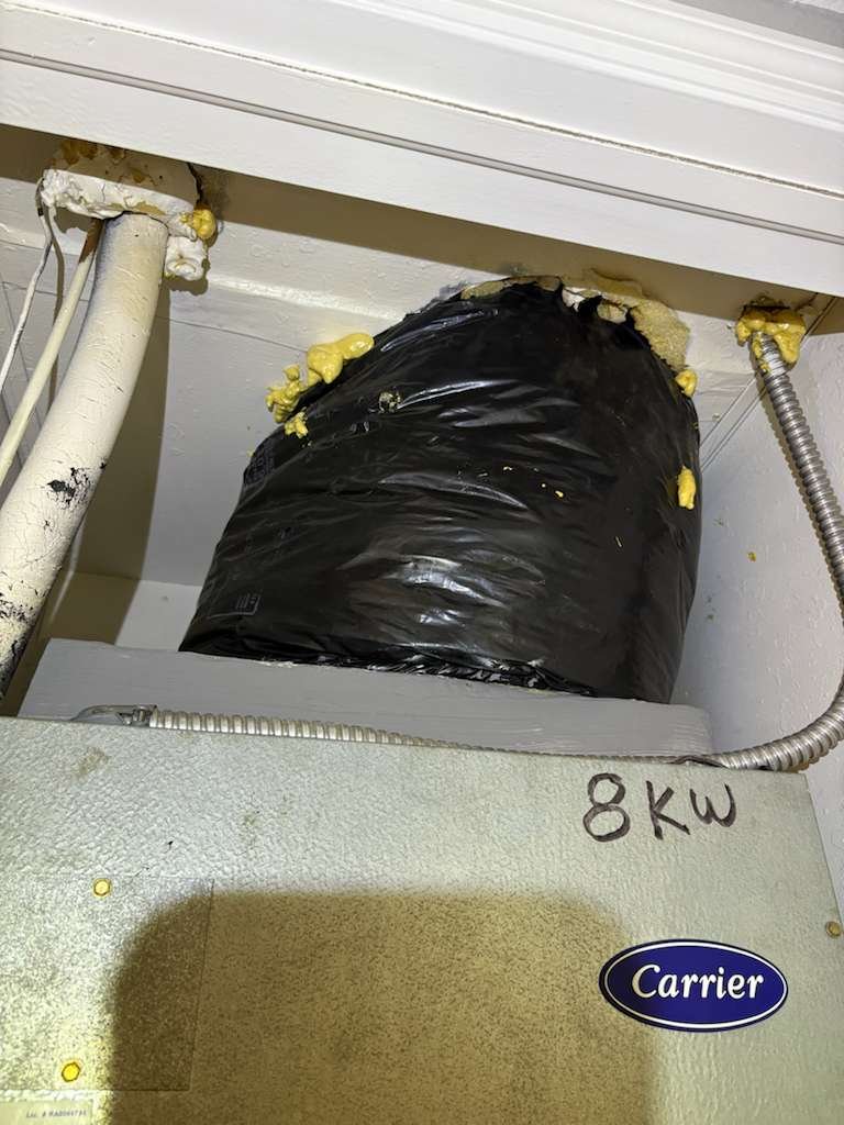 Home Therapist service photo in Riverview, FL 33578