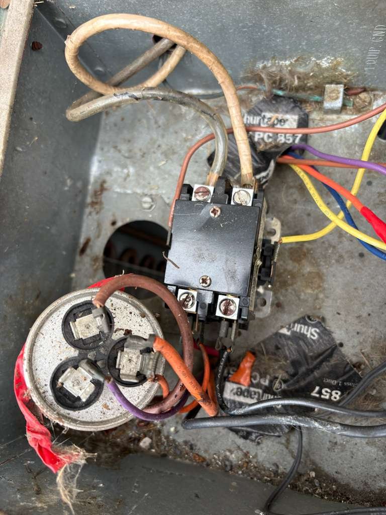 Home Therapist service photo in Riverview, FL 33578