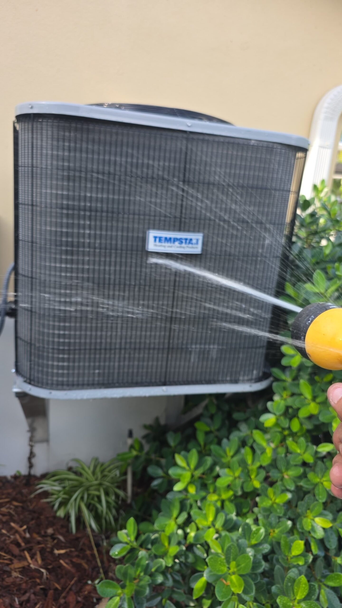 Interior home therapy plan service in Tampa, FL 33629