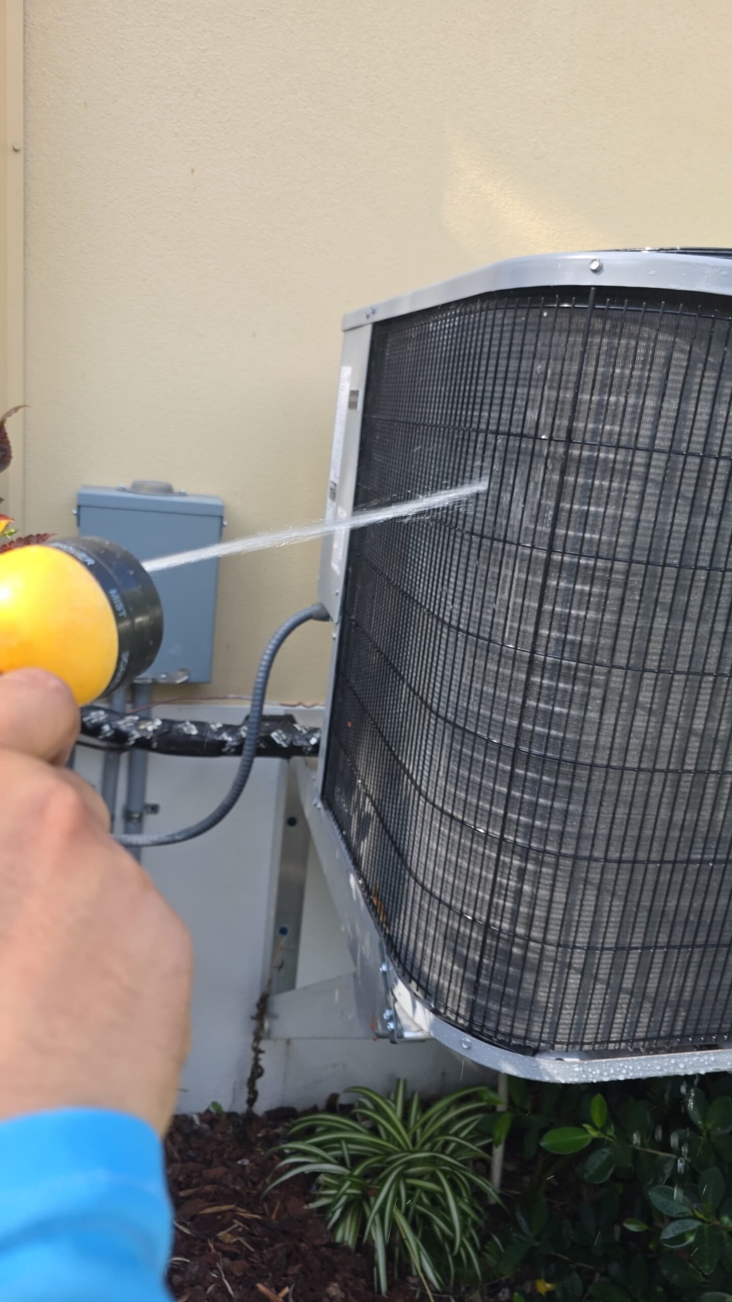 Value Home Therapy Plan service visit in Tampa, FL 33629