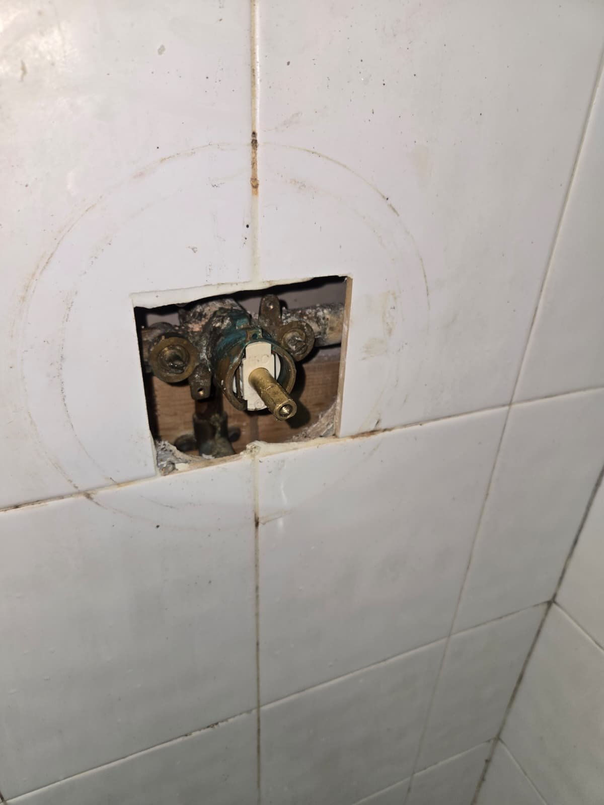 Tampa, FL 33647 tub and shower valve during cartridge changeout