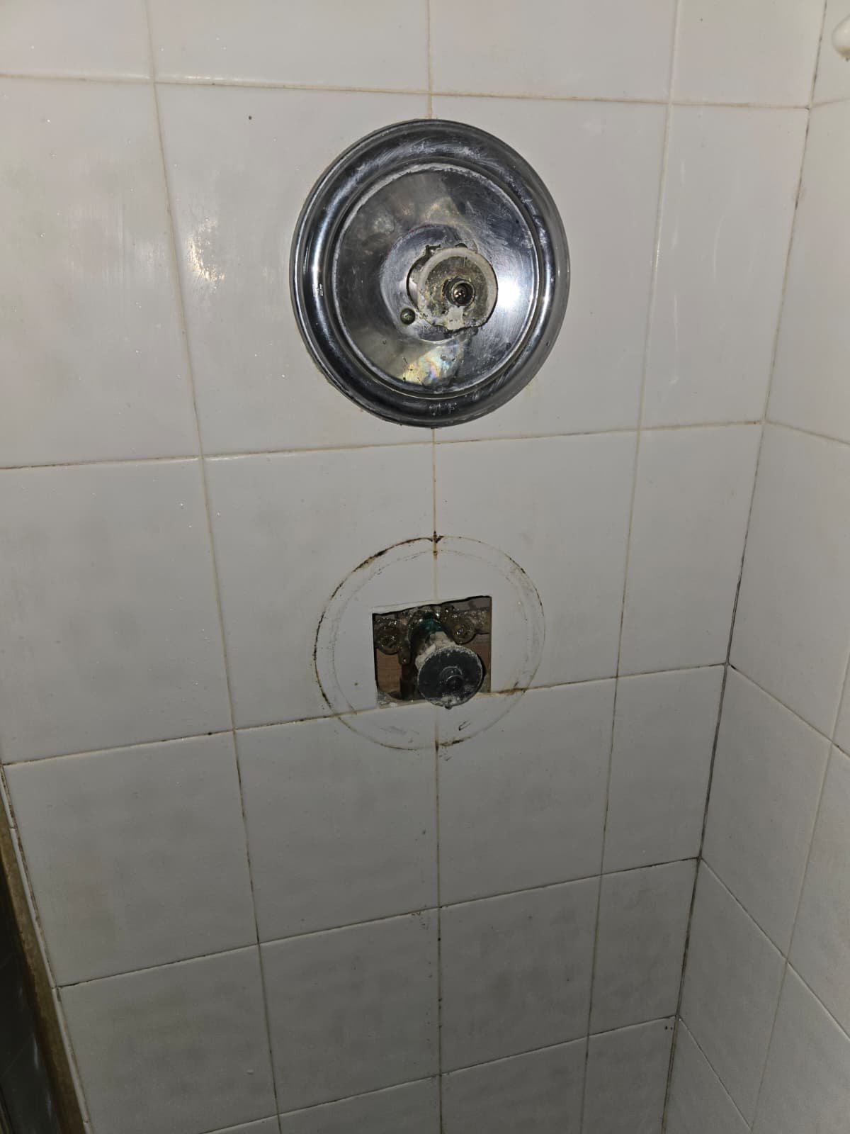 Shower cartridge replacement in Tampa, FL 33647 bathroom