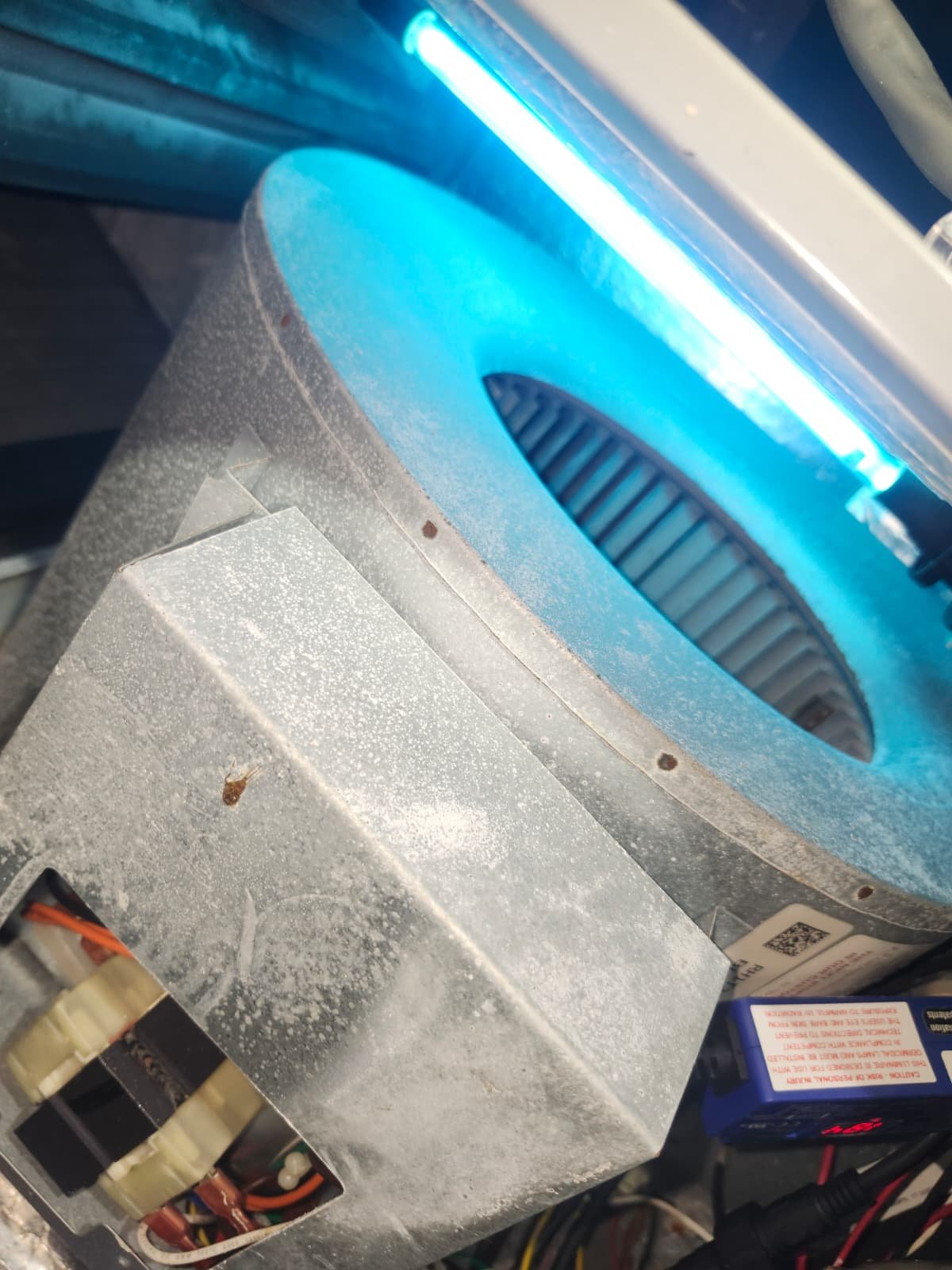 AC capacitor inspection during preventive maintenance in Lutz, FL 33549