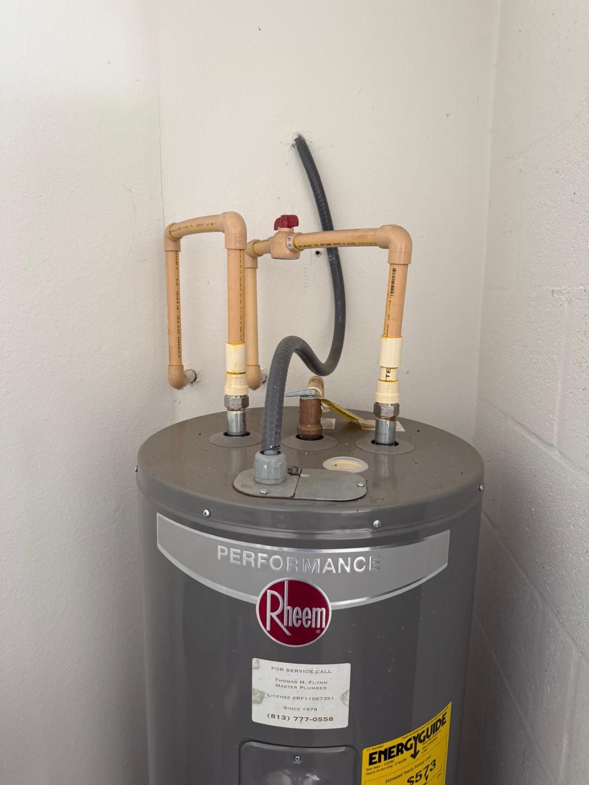 Rheem 50 gallon electric water heater installation in Riverview, FL 33579