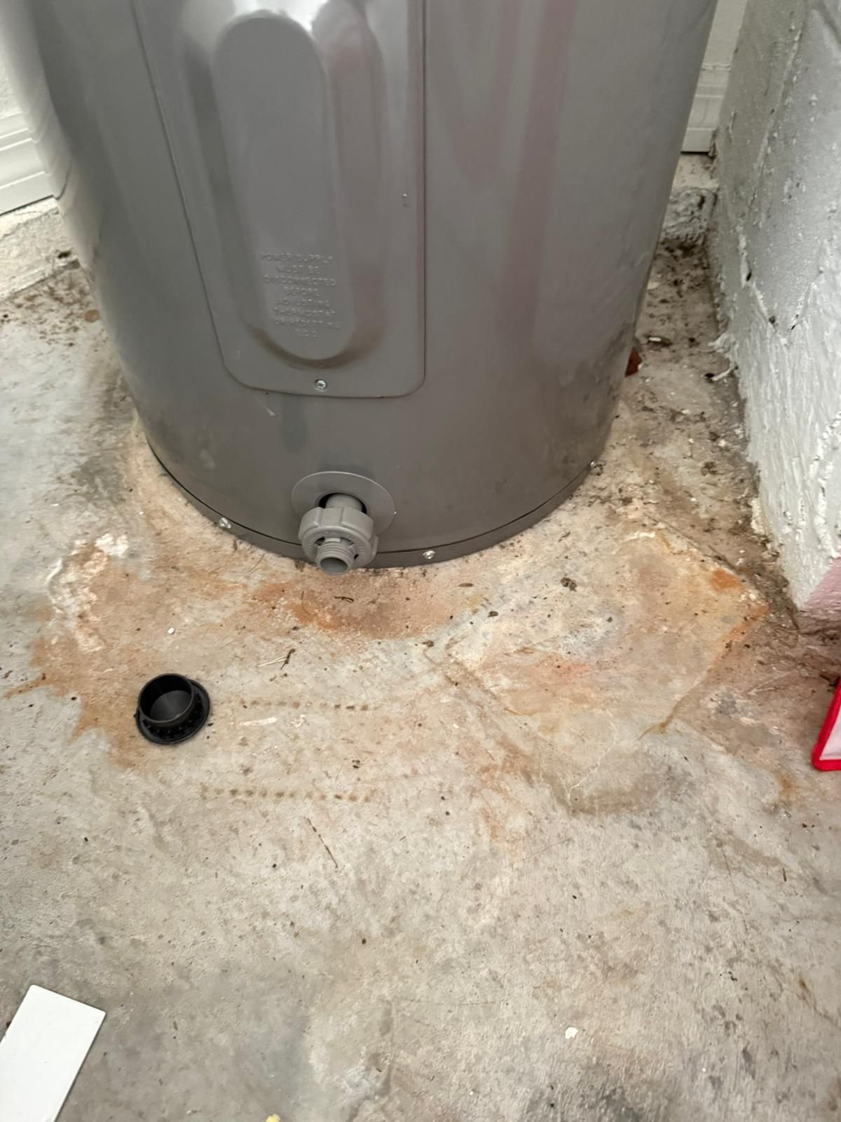 Rheem XE50T electric water heater replacement with code upgrades in Riverview, FL 33579