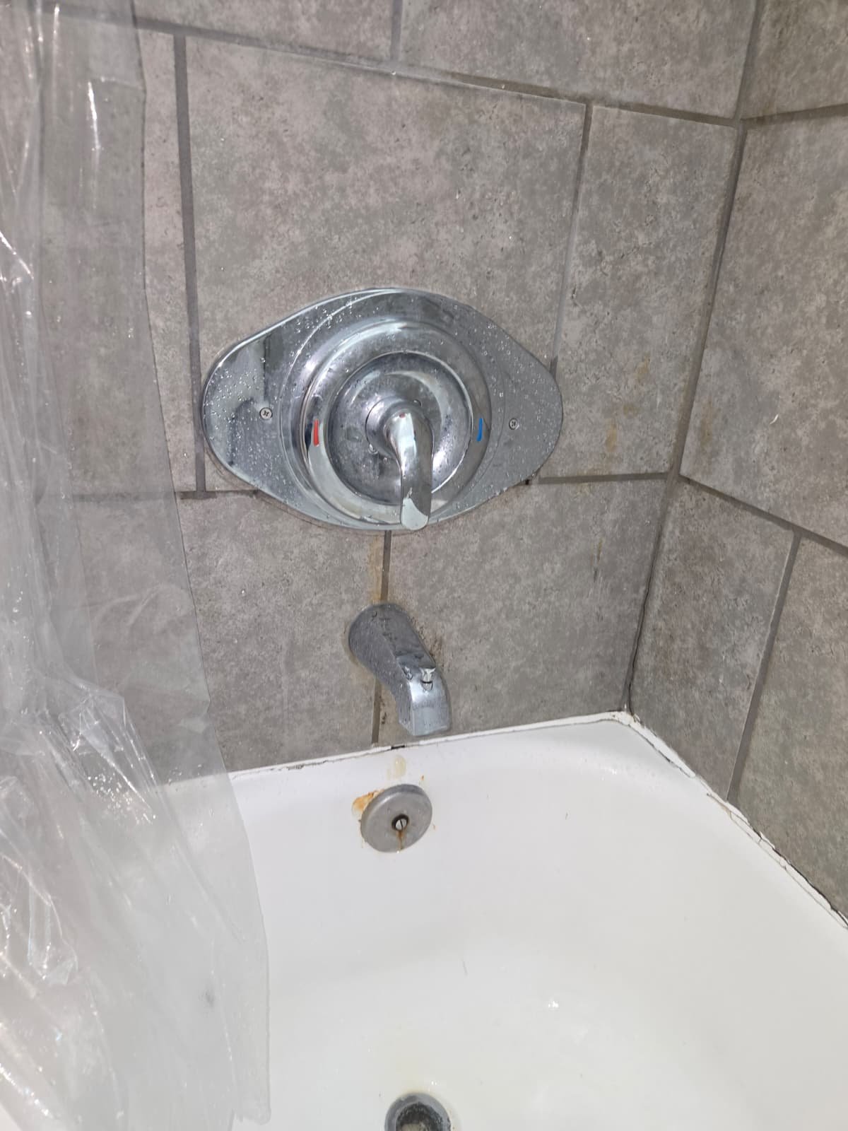 Cartridge replacement for rusted plumbing pipes in Tampa, FL 33607