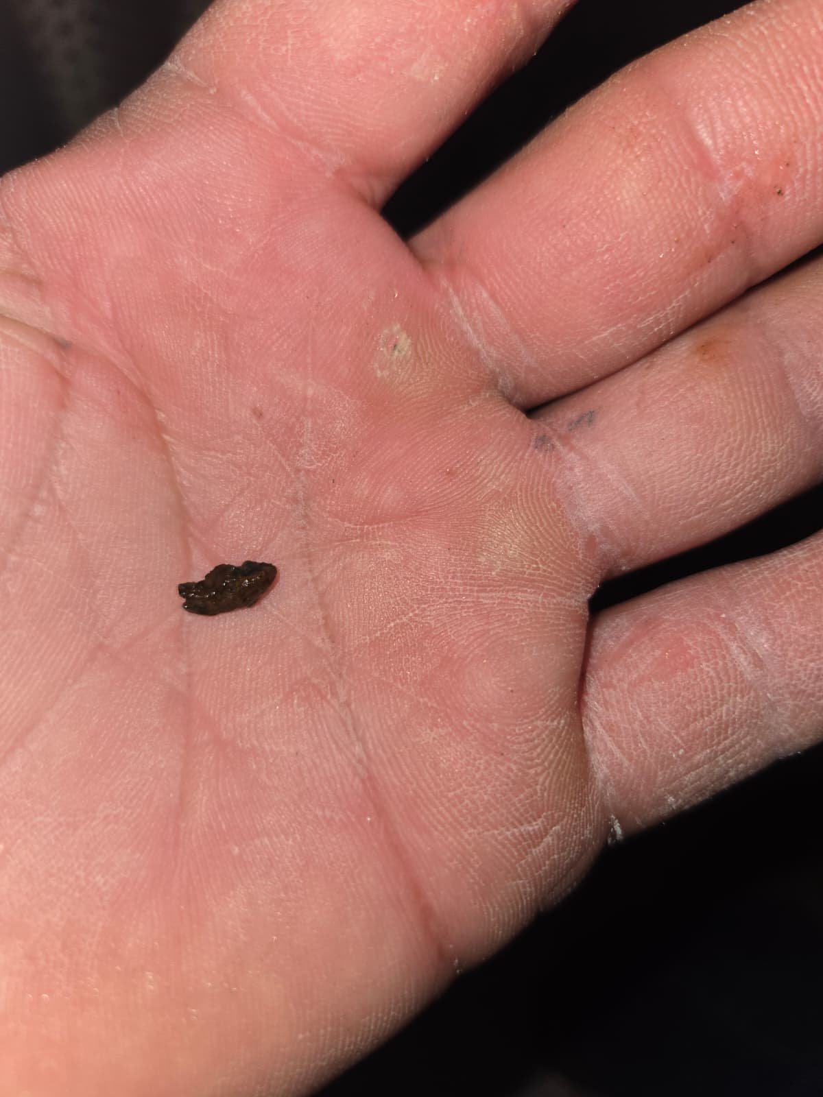 Corroded pipes requiring repiping service in Tampa, FL 33607