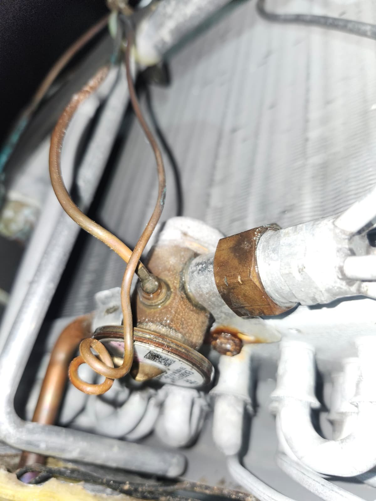 Home Therapist service photo in Tampa, FL 33629