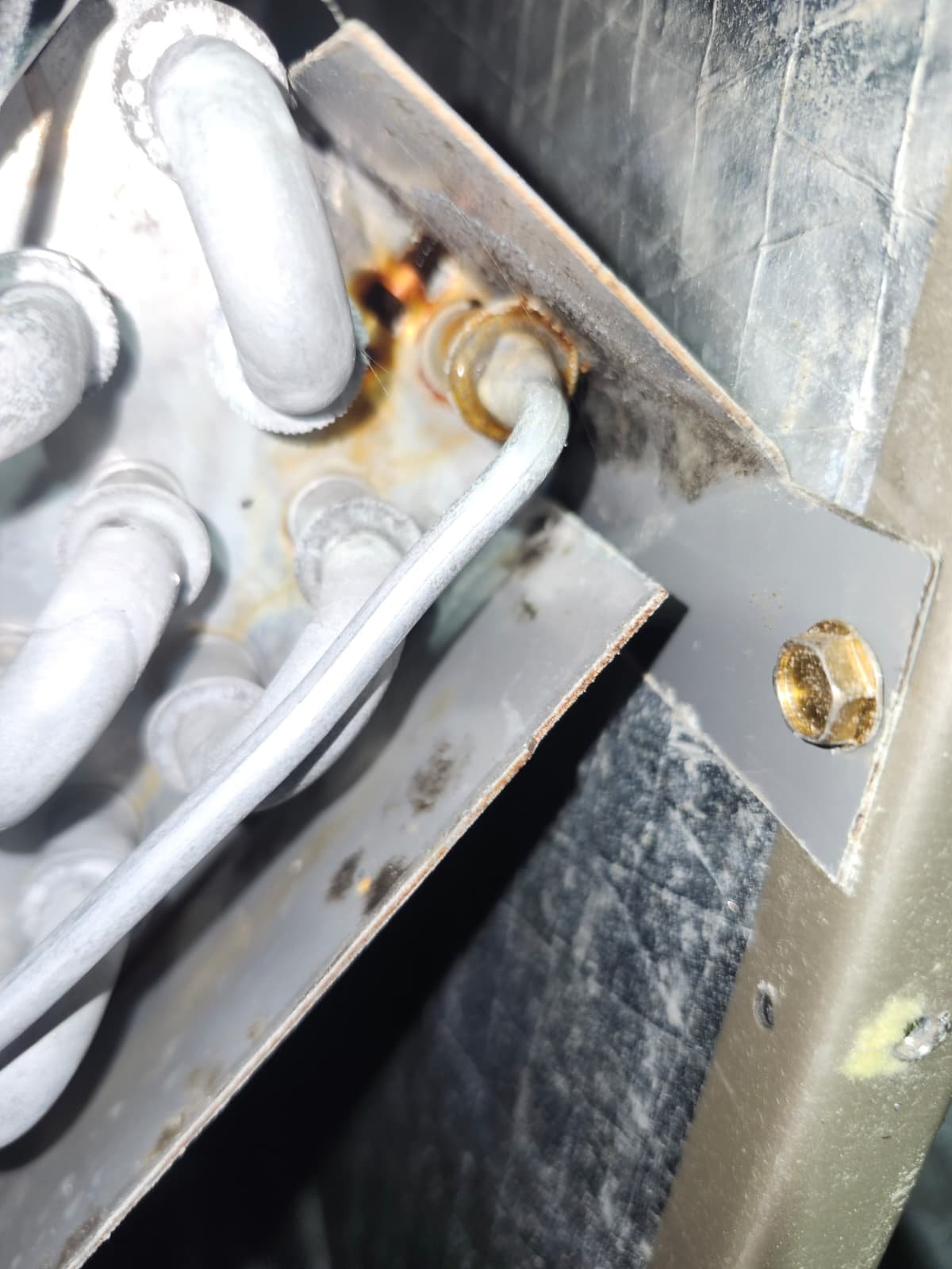 Home Therapist service photo in Tampa, FL 33629