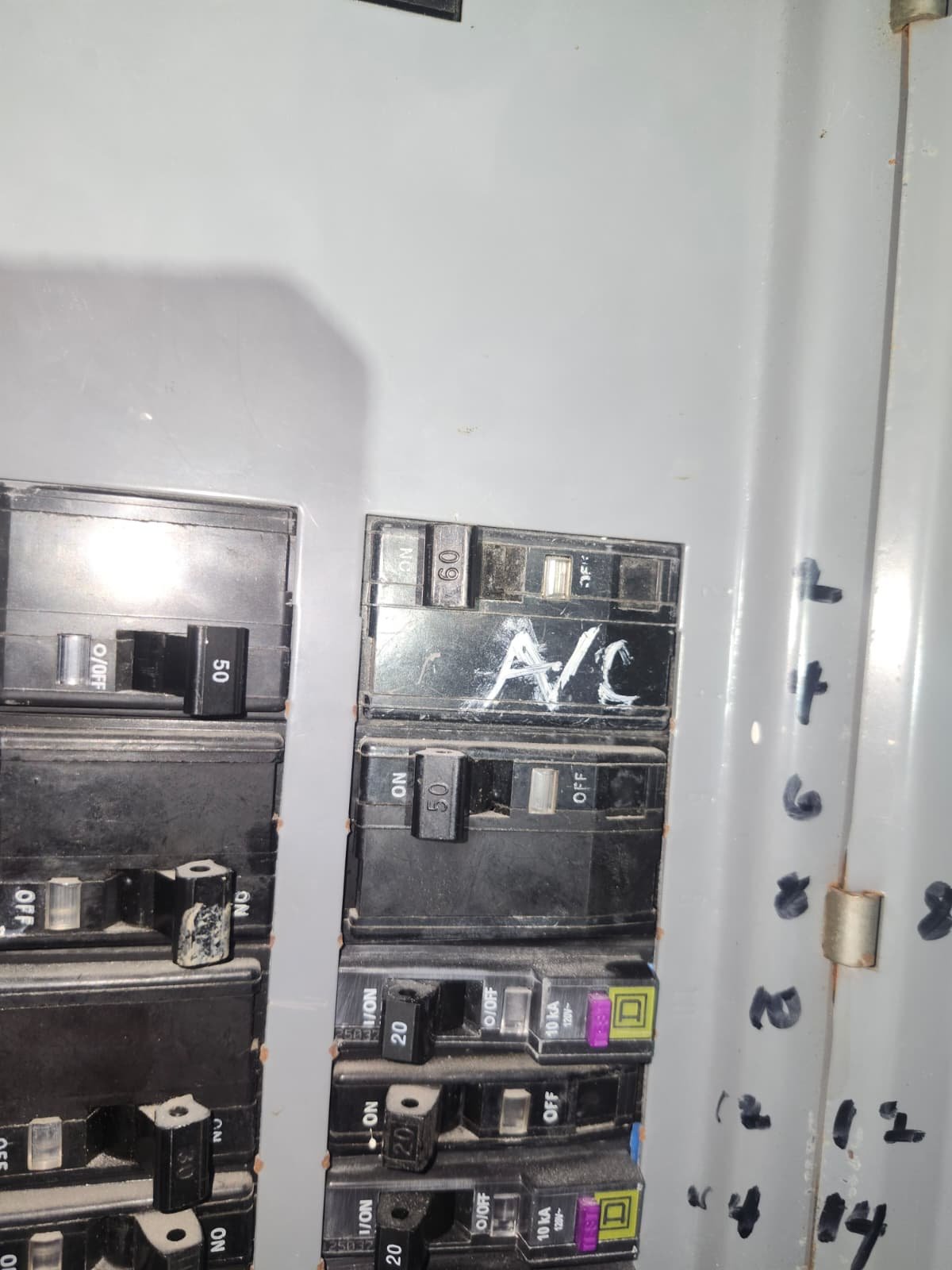 Home Therapist service photo in New Port Richey, FL 34652