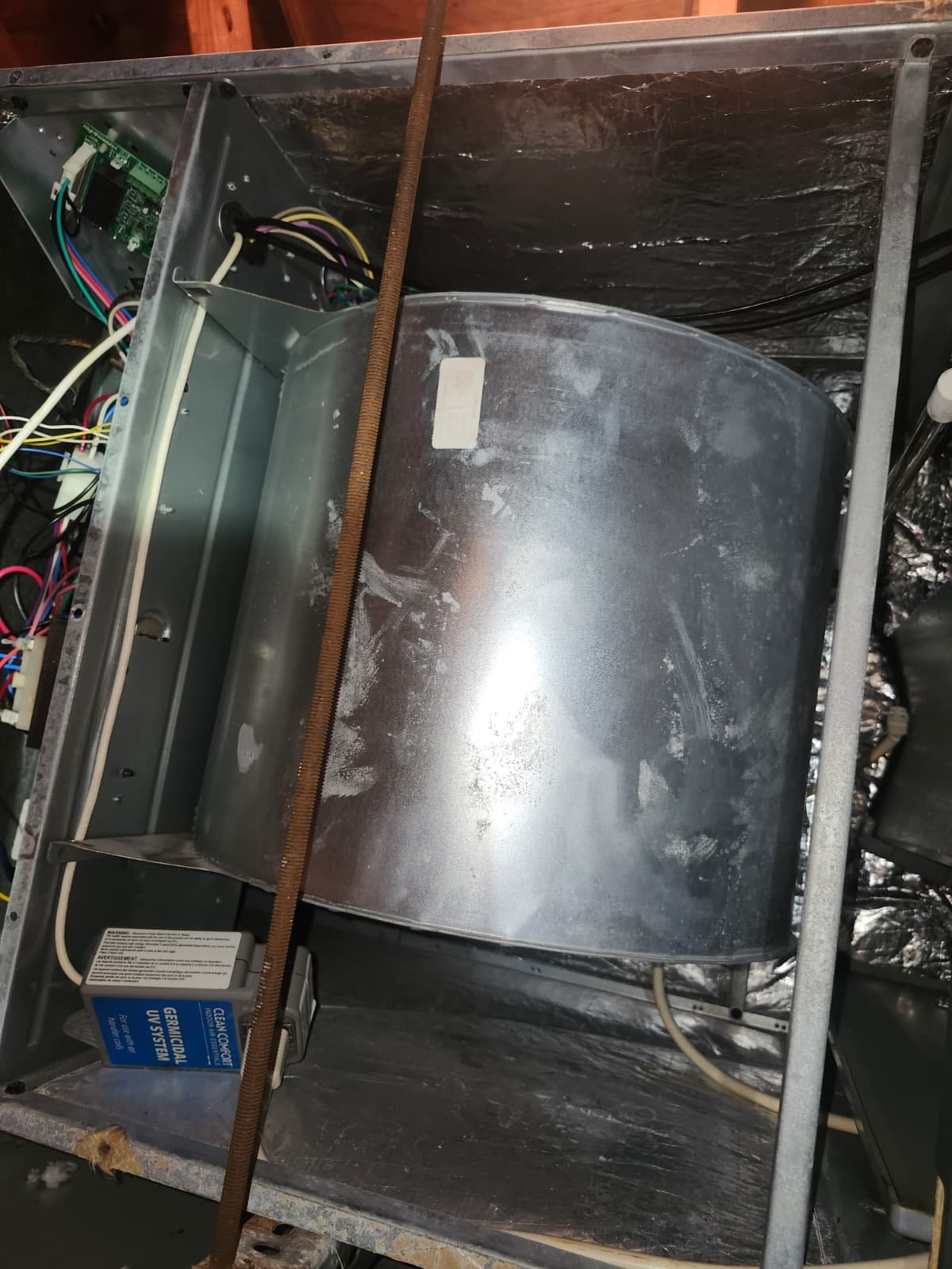 Home Therapist service photo in New Port Richey, FL 34652