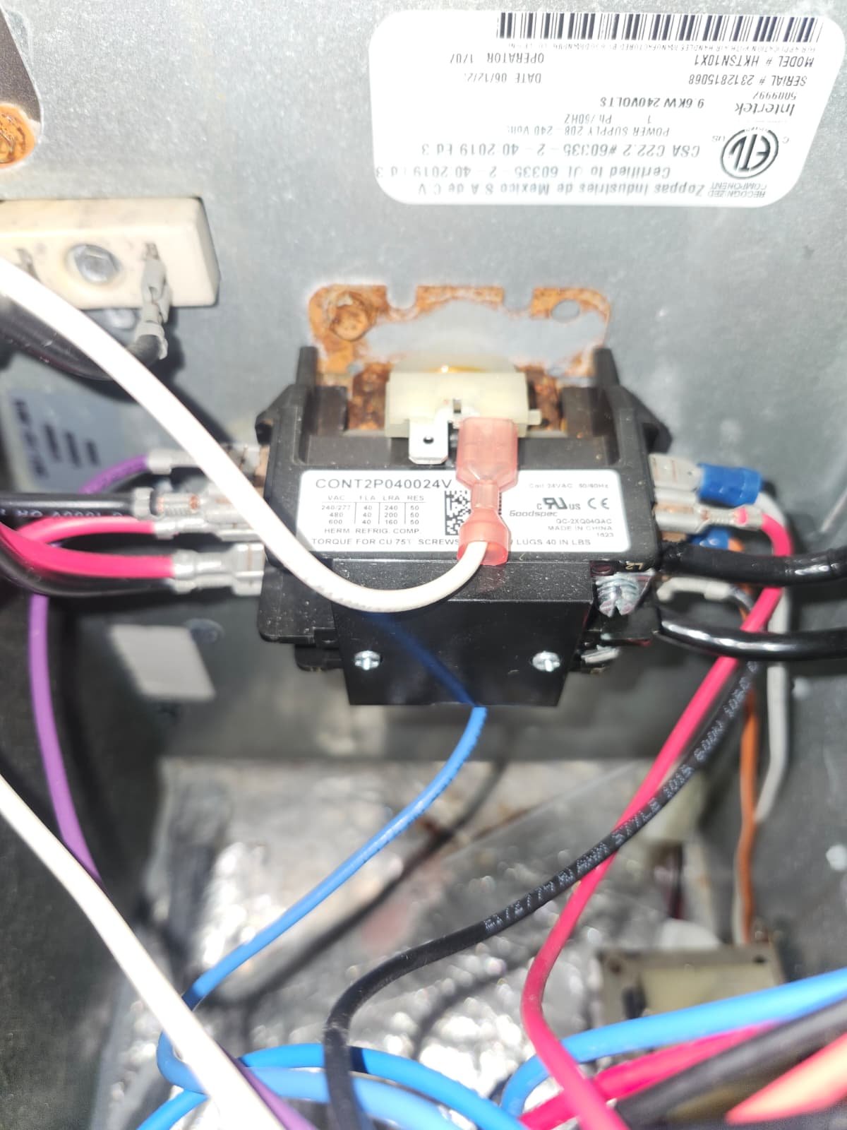 Home Therapist service photo in New Port Richey, FL 34652