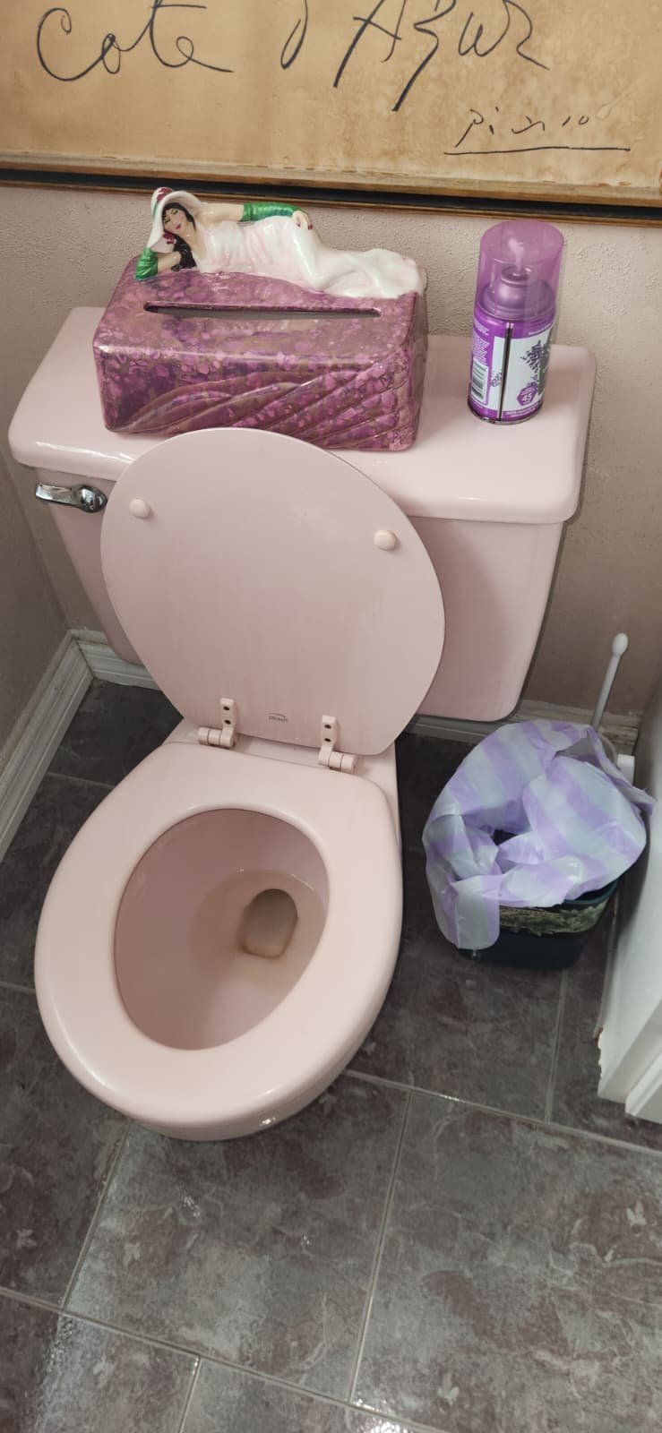 Plumbing safety check of valves and water heater in Clearwater, FL 33763