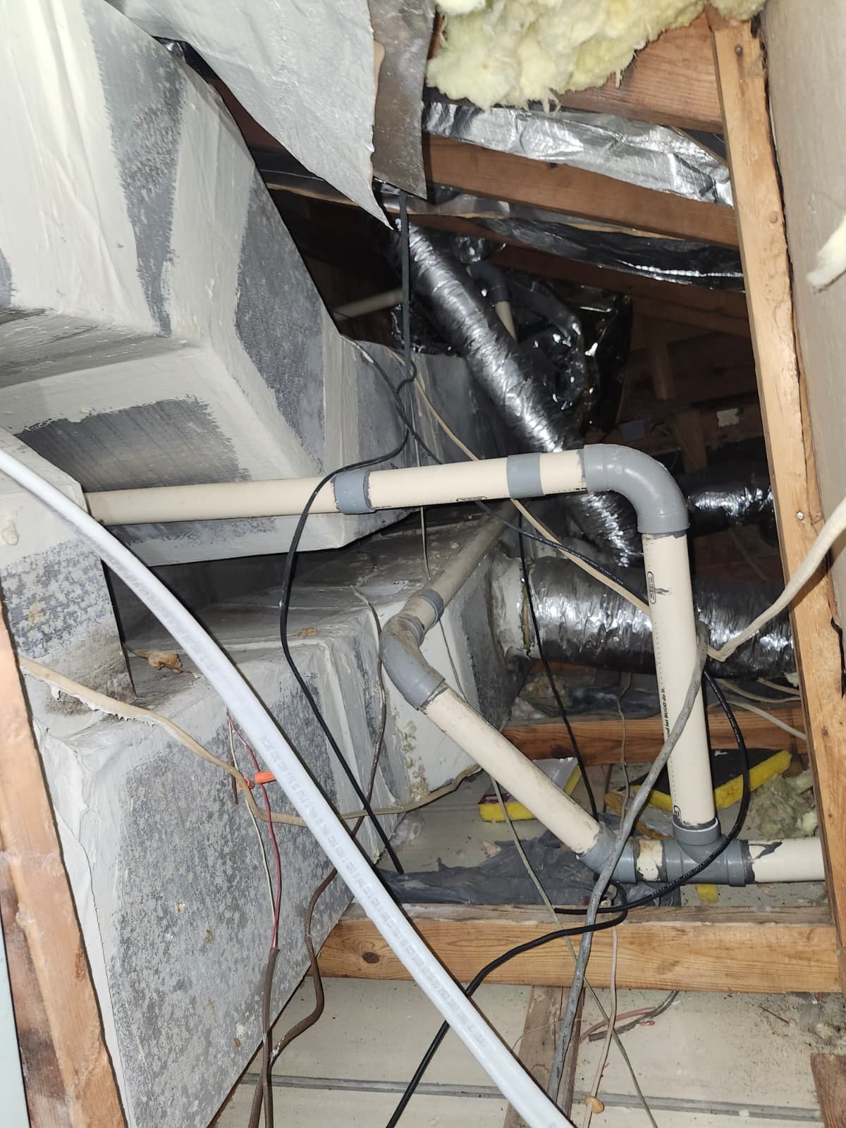 Air handler organic growth found during HVAC maintenance in Largo, FL 33774