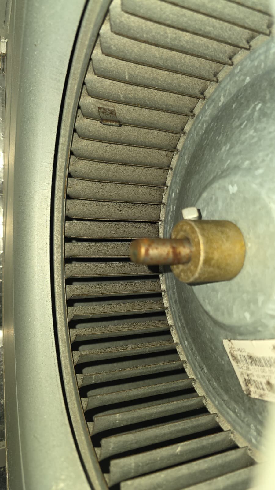 Condenser coil cleaning and system tune-up in Tampa, FL 33618 residence