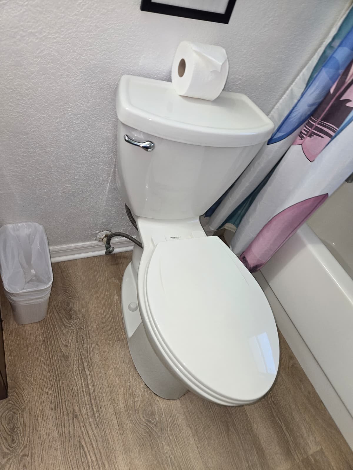 Plumber checking bathtub drain line after snaking in Clearwater, FL 33756