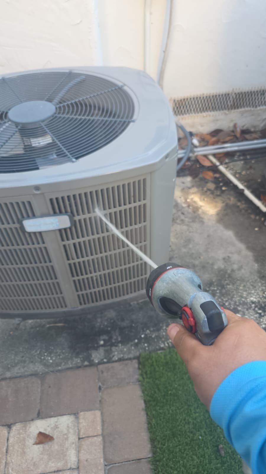 Home Therapist service photo in Tampa, FL 33609