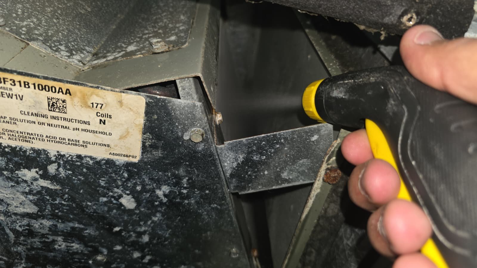 Home Therapist service photo in Tampa, FL 33609