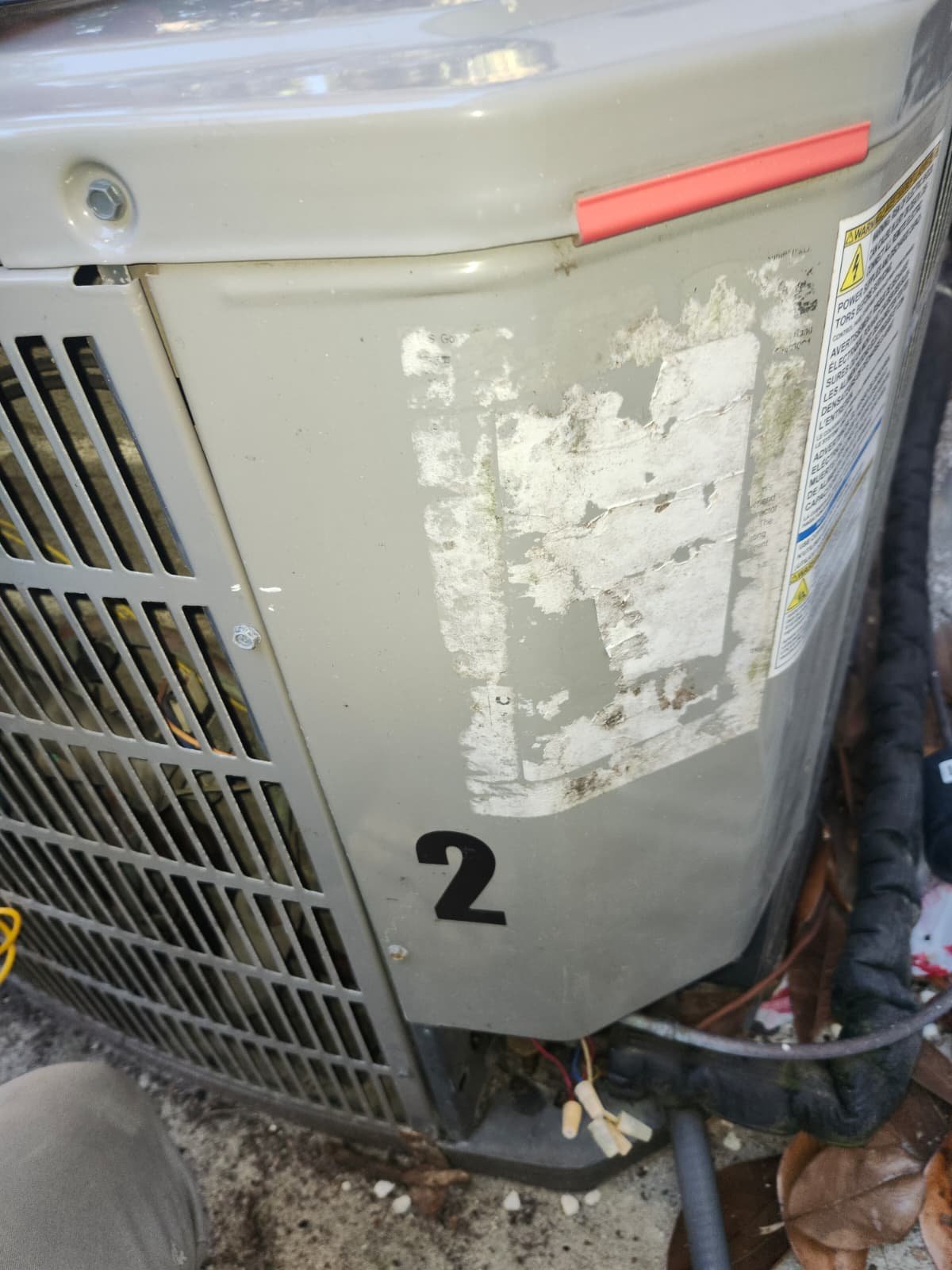 Home Therapist service photo in Tampa, FL 33609