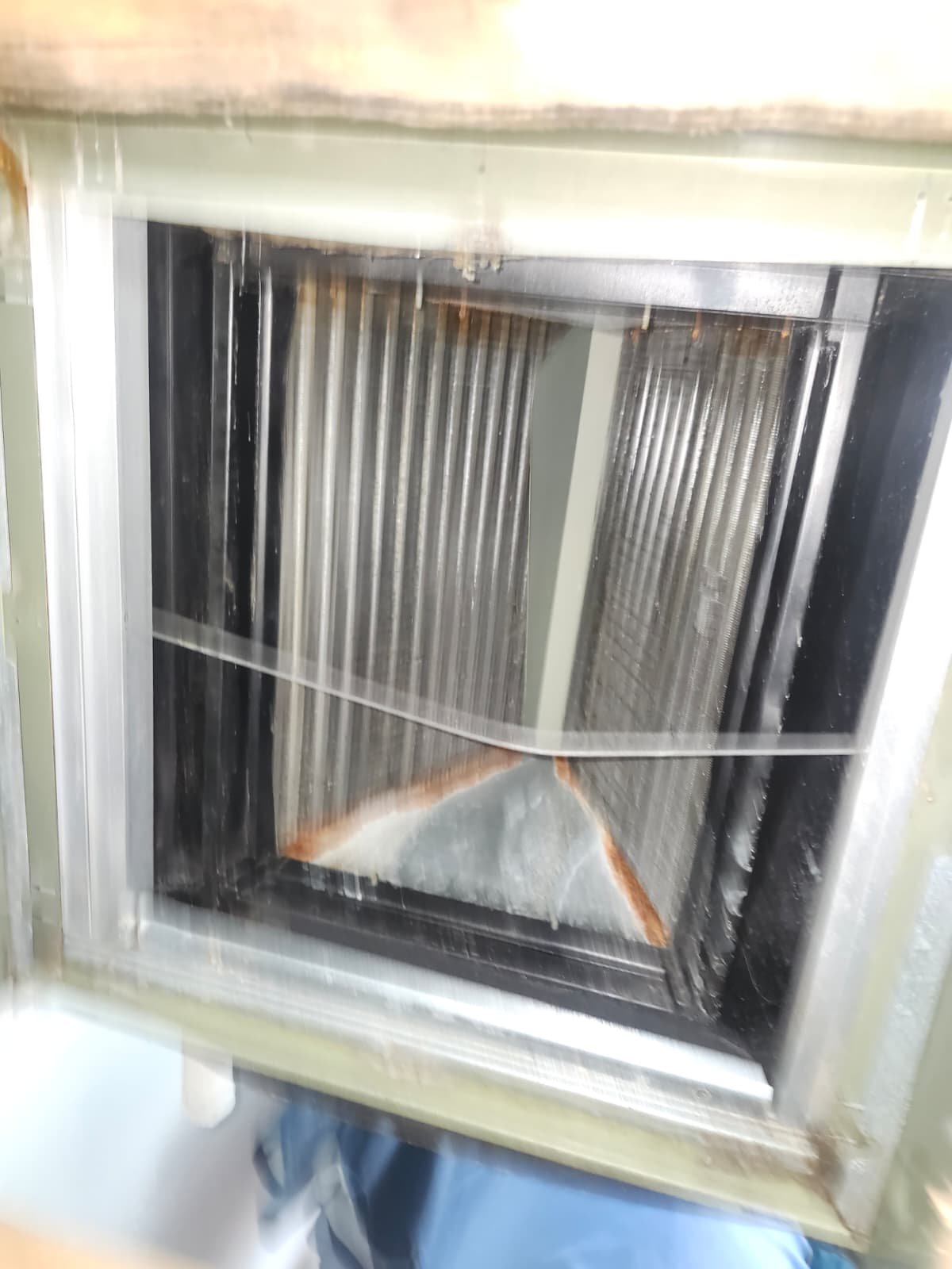 Home Therapist service photo in Tampa, FL 33609