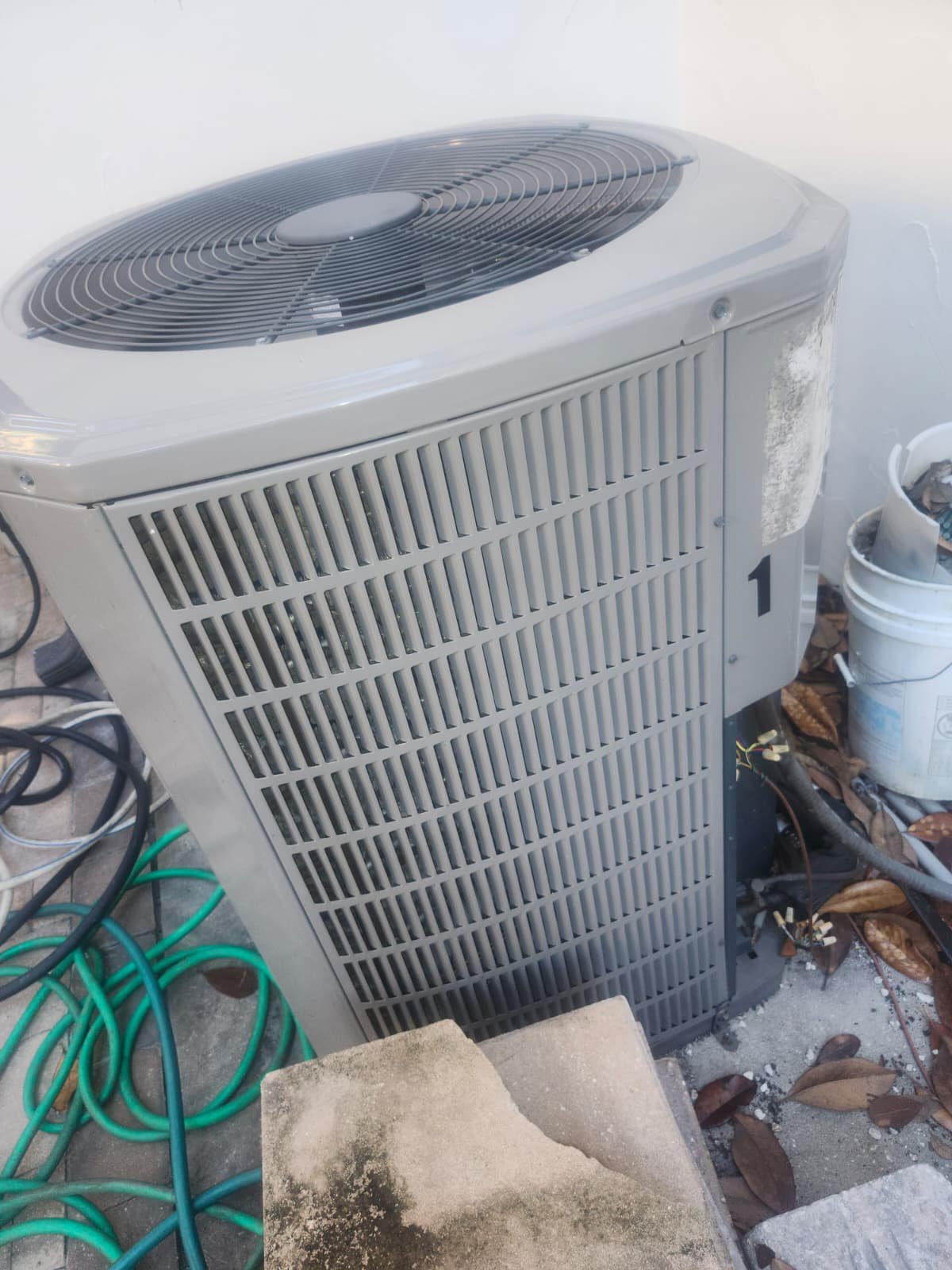 Home Therapist service photo in Tampa, FL 33609