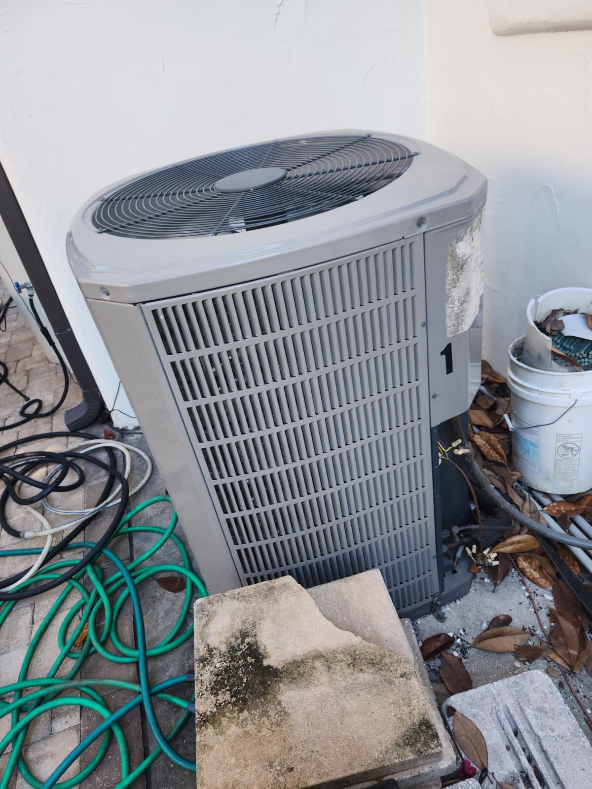 Home Therapist service photo in Tampa, FL 33609