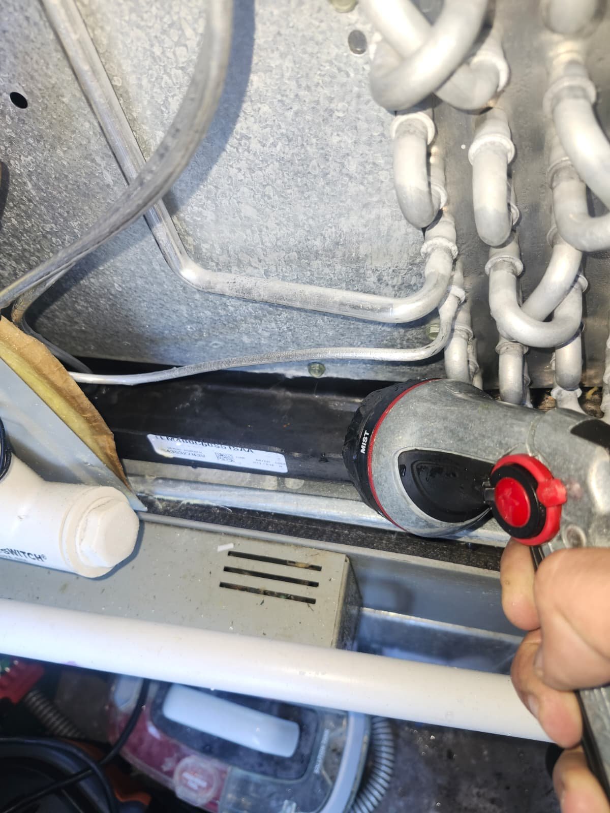 Home Therapist service photo in Tampa, FL 33609