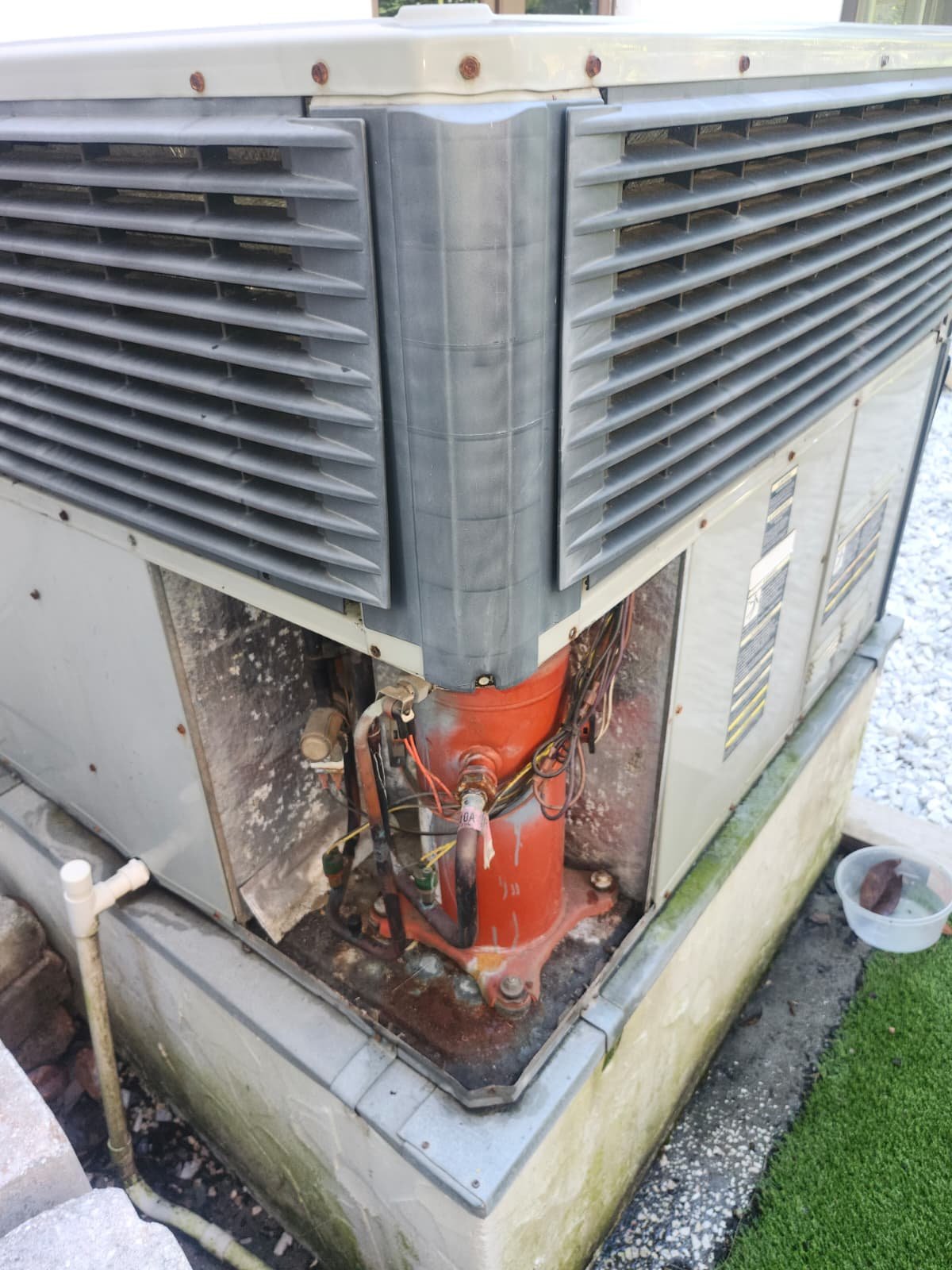 Home Therapist service photo in Tampa, FL 33609