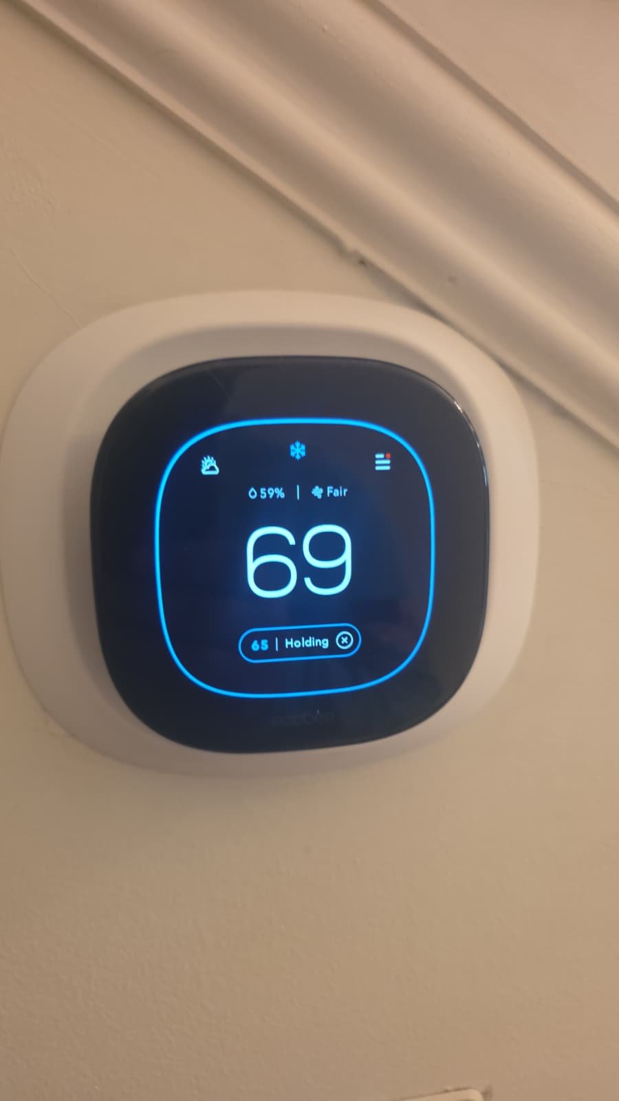 Home Therapist service photo in Tampa, FL 33609