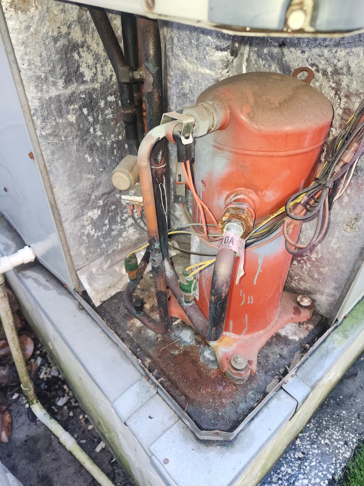 Home Therapist service photo in Tampa, FL 33609