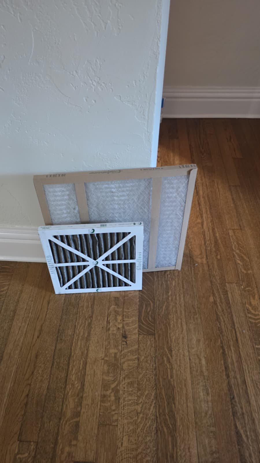 Home Therapist service photo in Tampa, FL 33609